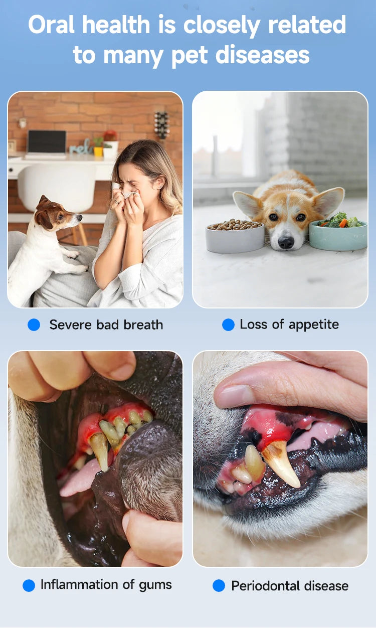 Dentapaws-pet tartar cleaner