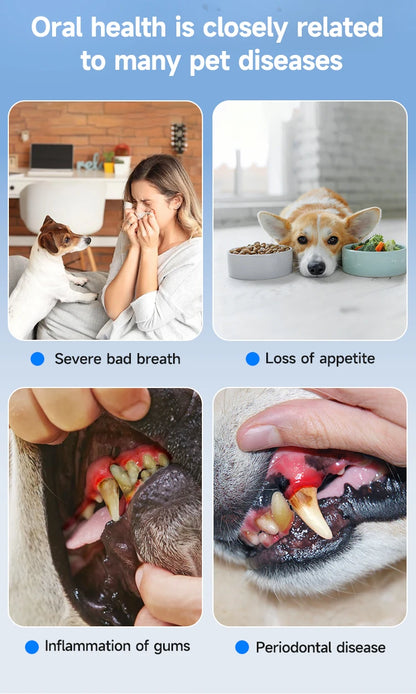 Dentapaws-pet tartar cleaner